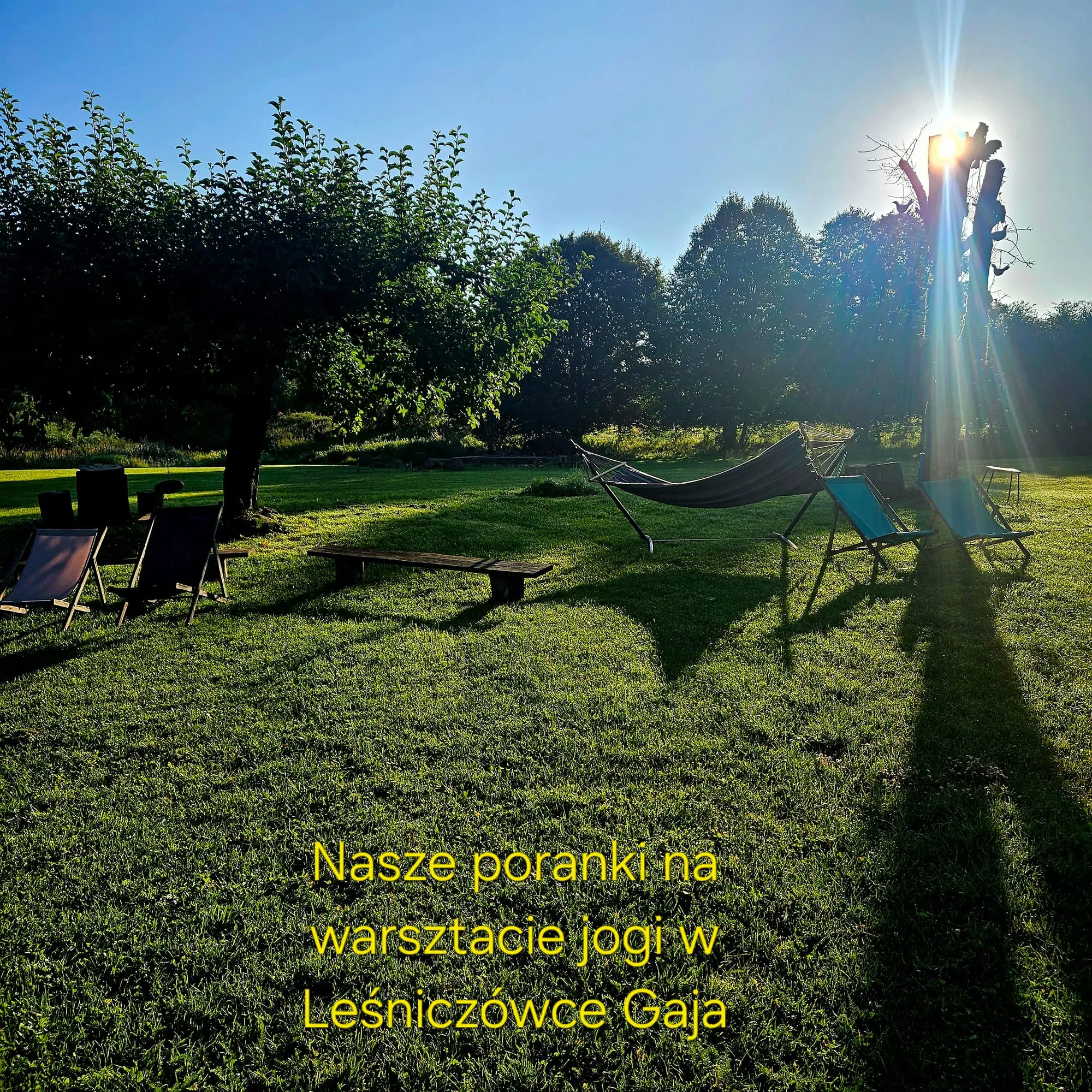 WAKACYJNY WARSZTAT JOGI, PRANAJAMY I MEDYTACJI — LEŚNICZÓWKA GAJA NA WARMII